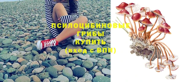 бошки Алзамай