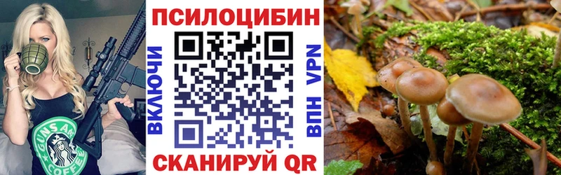 Псилоцибиновые грибы мухоморы где купить Бологое
